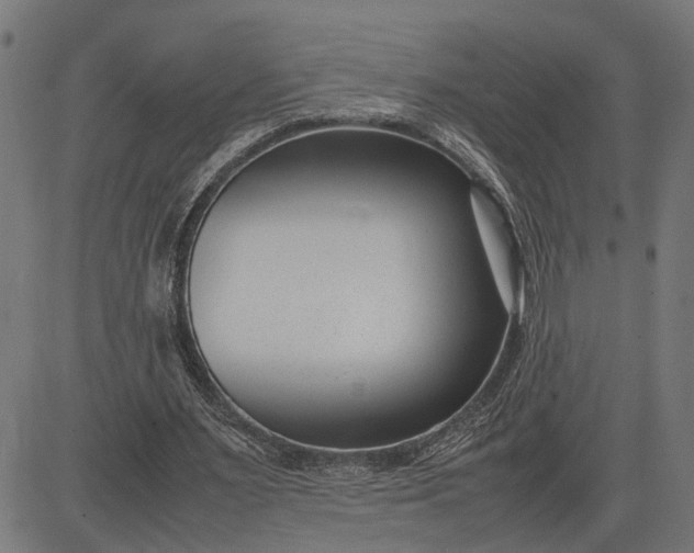 X0000082700483200702091726