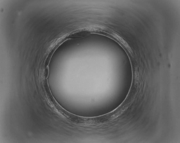 X0000082700485200702091726