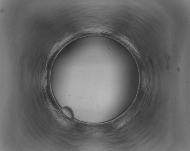 X0000082700486200702091726