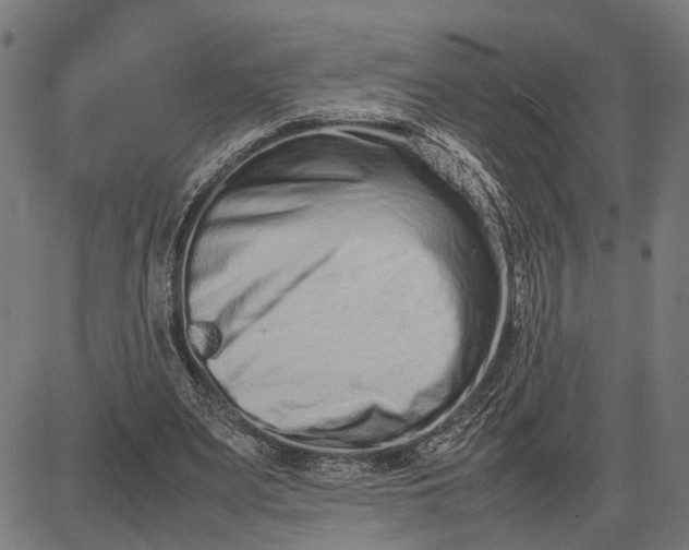 X0000082700487200702091726