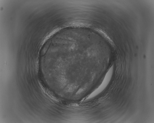 X0000082700488200702091726