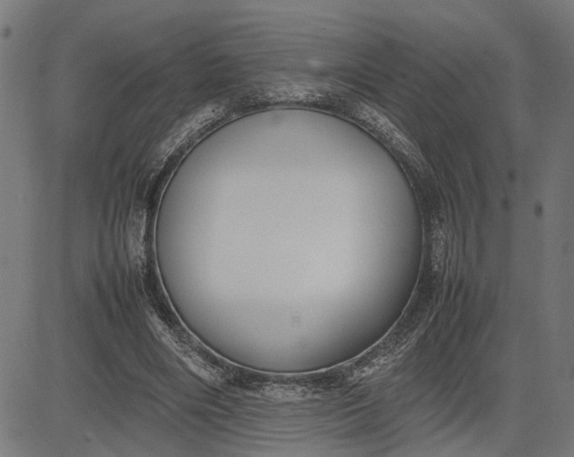 X0000082700490200702091726