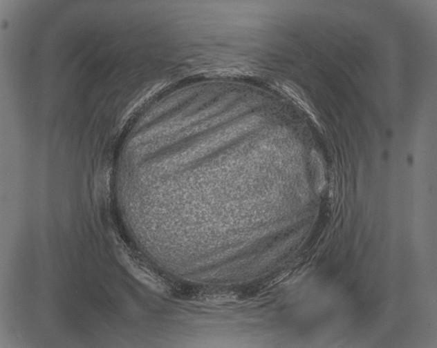 X0000082700491200702091726