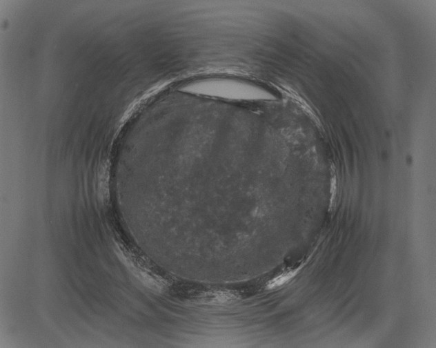 X0000082700492200702091726