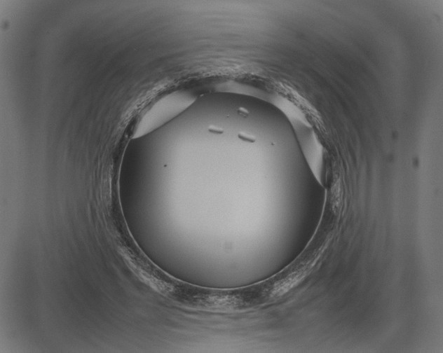 X0000082700493200702091726