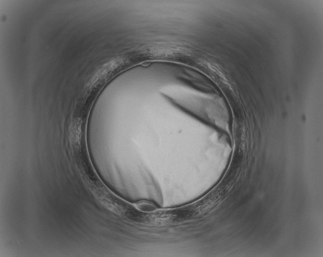 X0000082700495200702091726