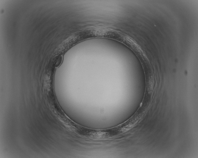 X0000082700497200702091726