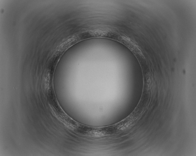 X0000082700498200702091726