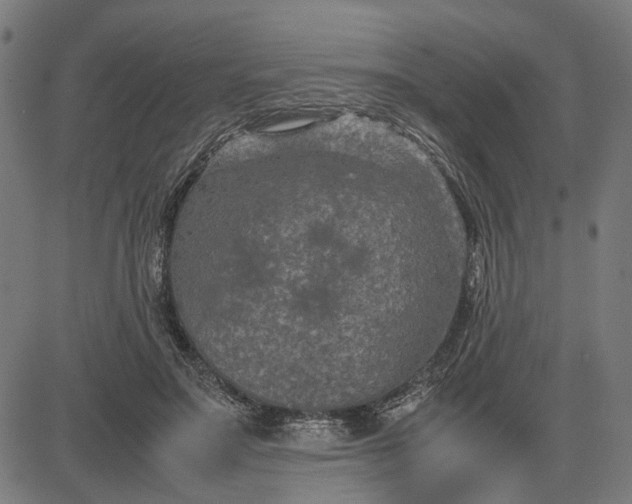 X0000082700499200702091726