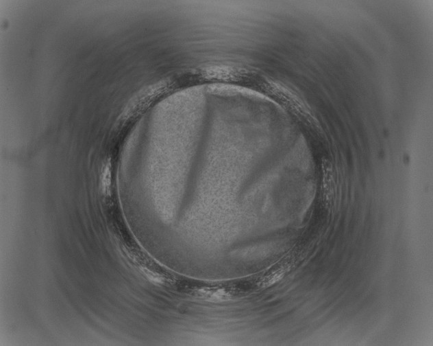 X0000082700502200702091726