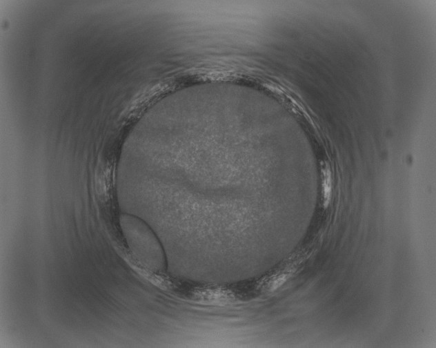 X0000082700503200702091726