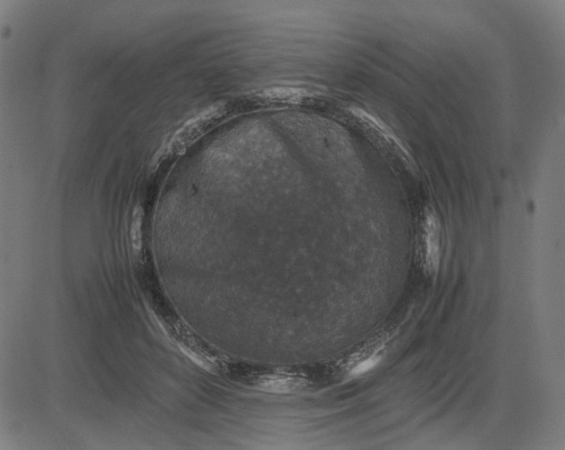 X0000082700504200702091726