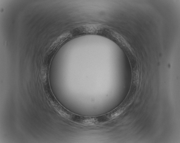 X0000082700505200702091726