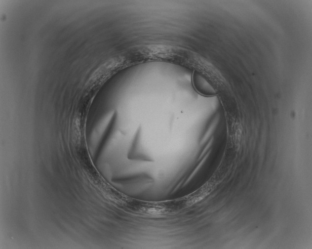 X0000082700506200702091726