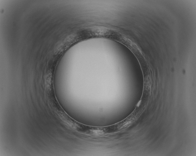 X0000082700509200702091726