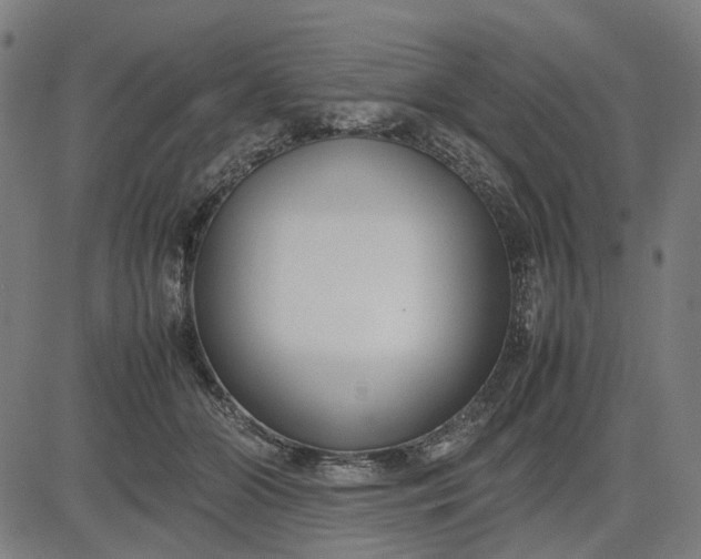 X0000082700510200702091726