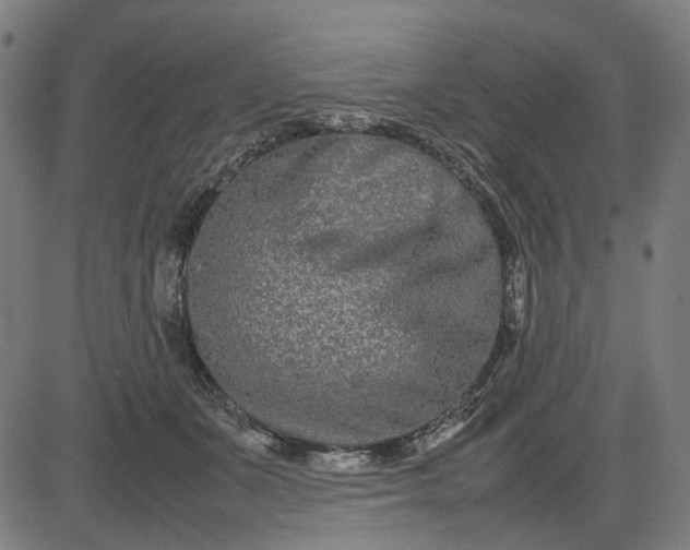 X0000082700511200702091726