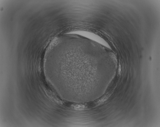 X0000082700512200702091726