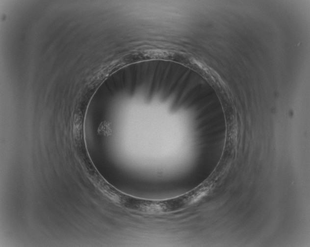 X0000082700513200702091726