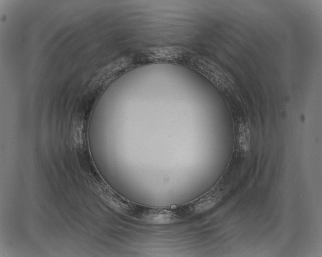 X0000082700514200702091726