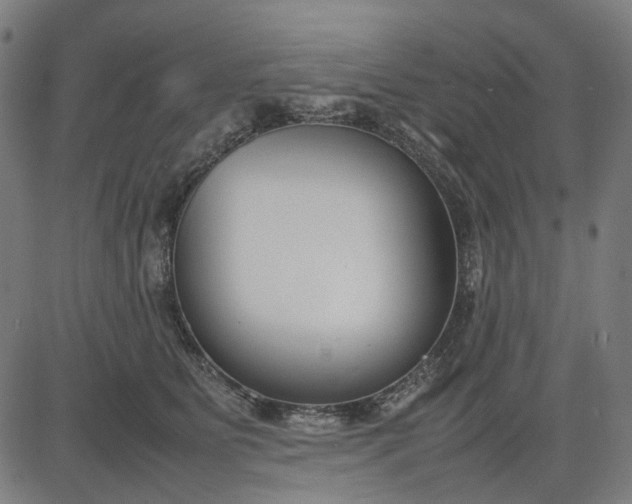 X0000082700515200702091726