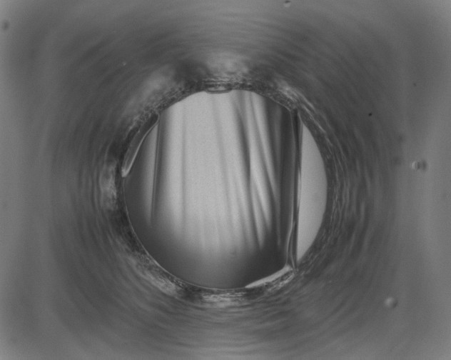 X0000082700516200702091726