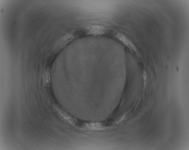 X0000082700517200702091726