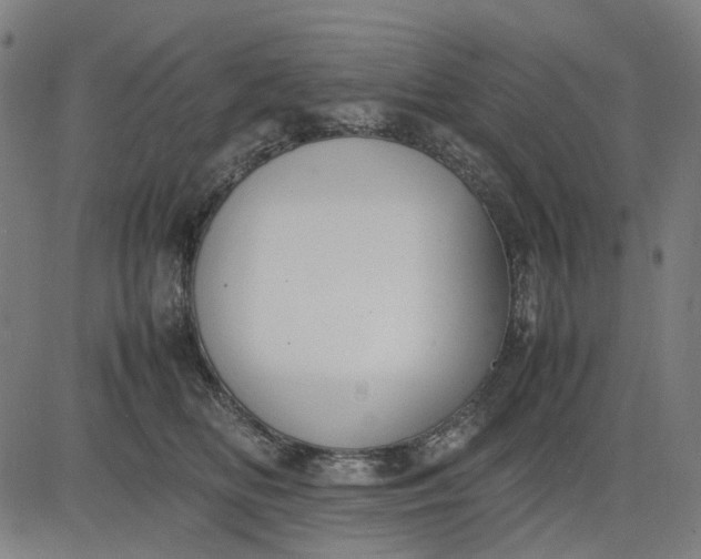 X0000082700518200702091726