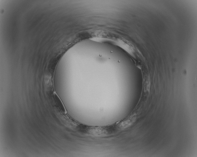 X0000082700521200702091726