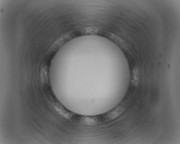 X0000082700522200702091726