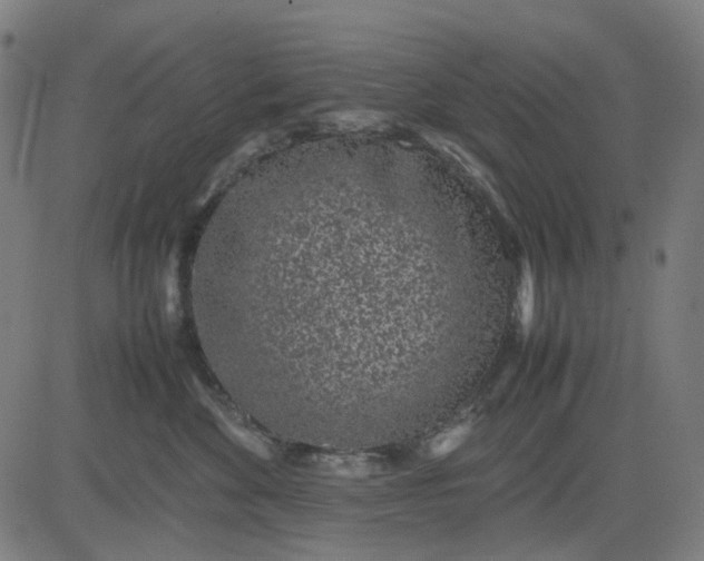 X0000082700524200702091725