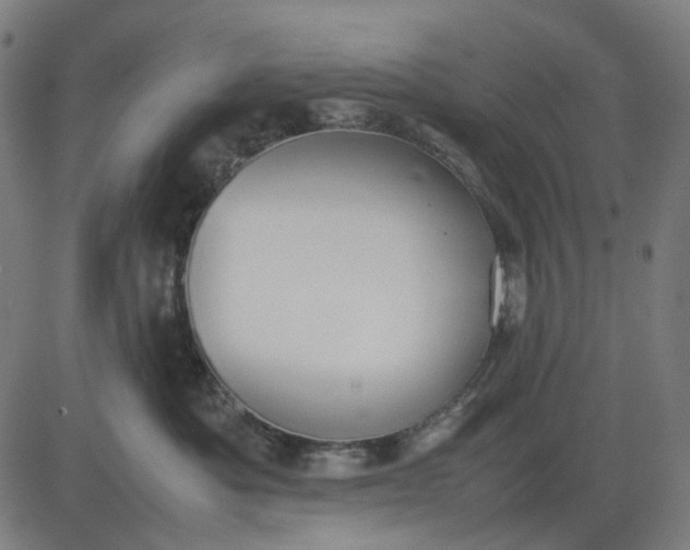 X0000082700525200702091725