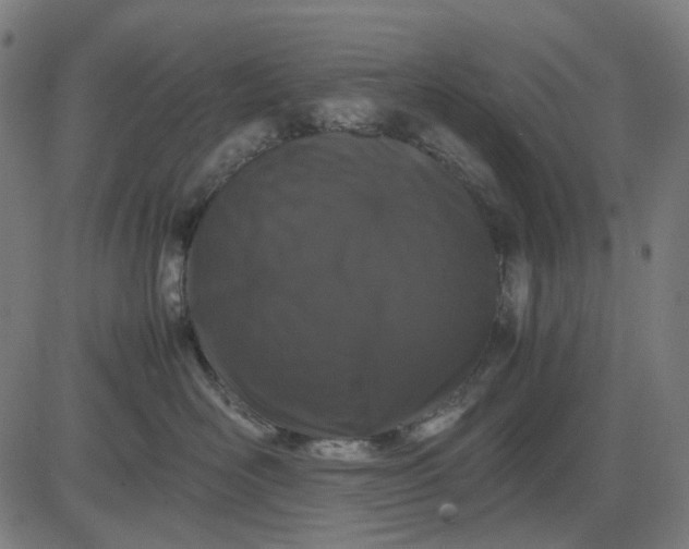 X0000082700526200702091725