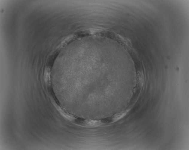 X0000082700527200702091725