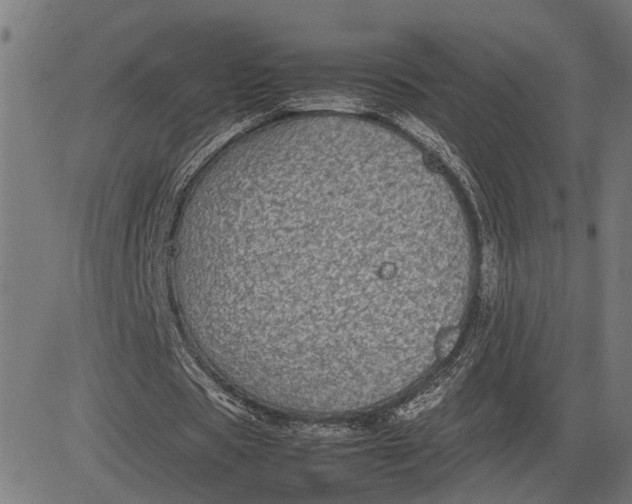 X0000082700529200702091725