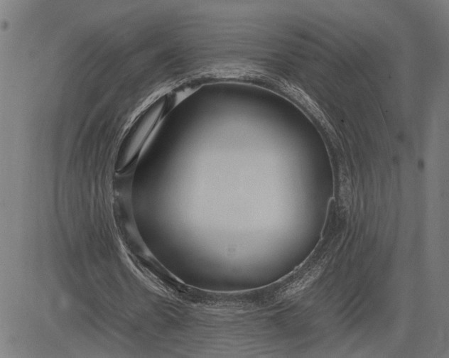 X0000082700530200702091725