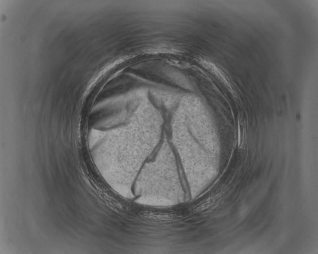 X0000082700531200702091725