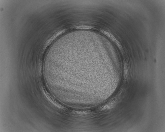 X0000082700533200702091725