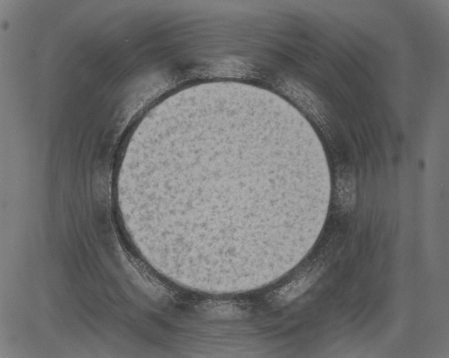 X0000082700534200702091725