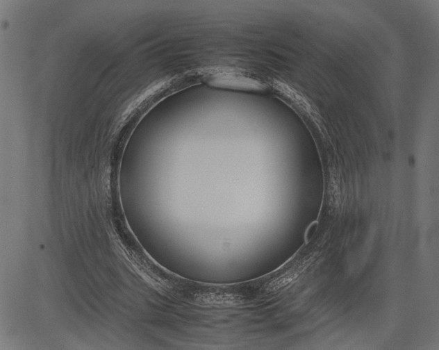 X0000082700535200702091725