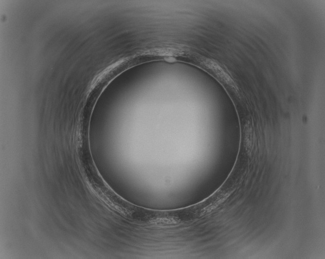 X0000082700536200702091725