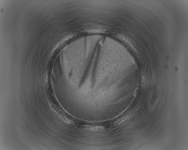 X0000082700539200702091725