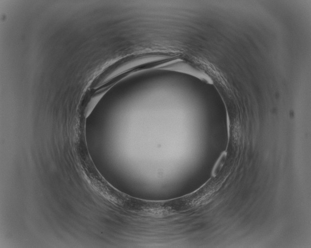 X0000082700540200702091725