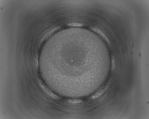 X0000082700541200702091725