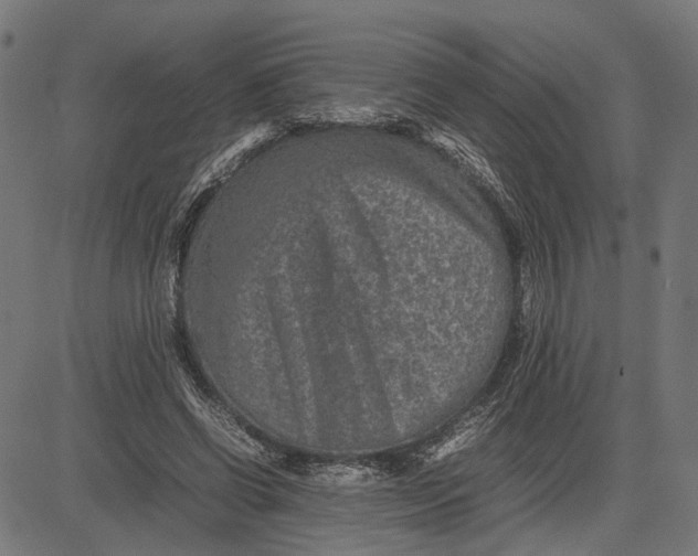 X0000082700542200702091725