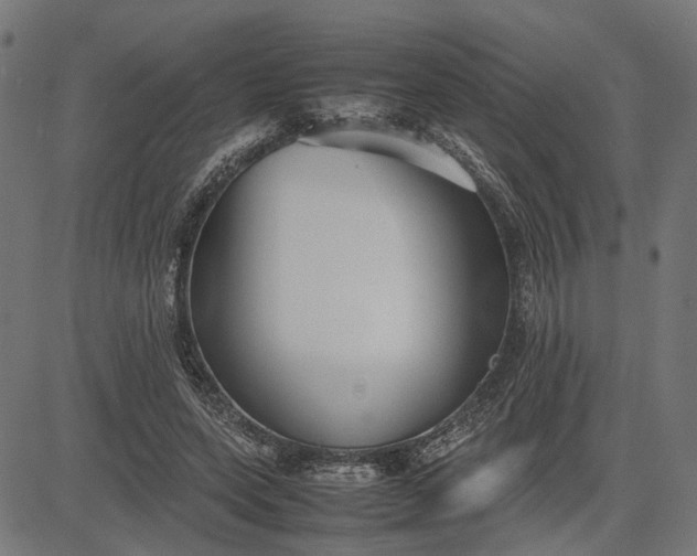 X0000082700543200702091725