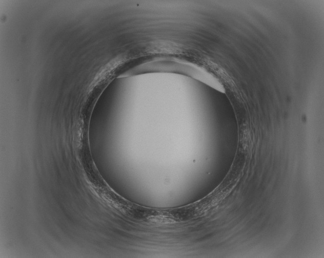 X0000082700544200702091725