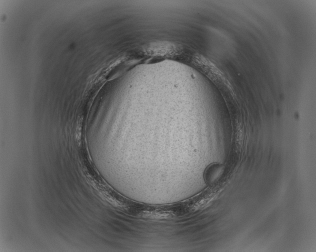 X0000082700545200702091725