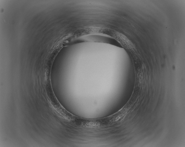 X0000082700546200702091725