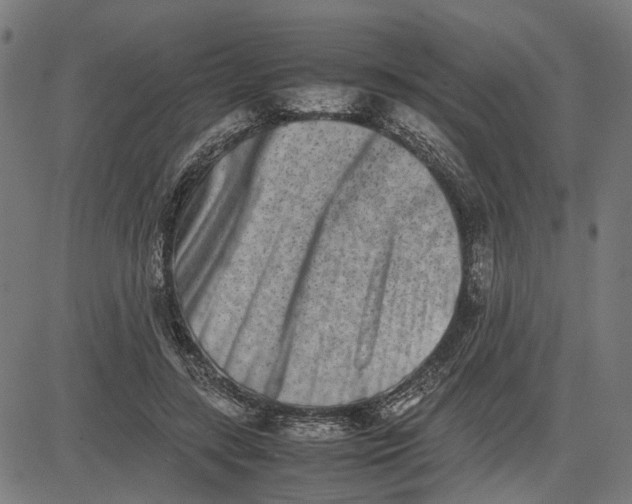 X0000082700547200702091725